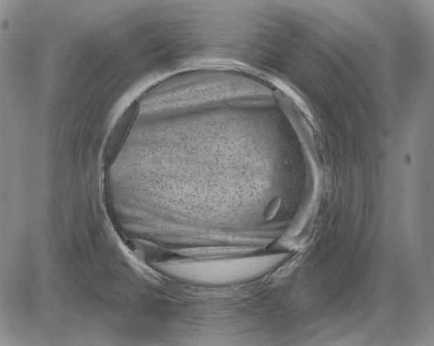 X0000083651430200703051715
