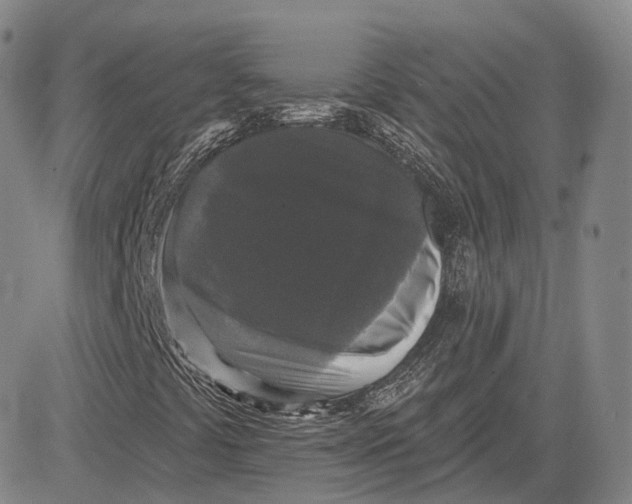 X0000083651441200703051714