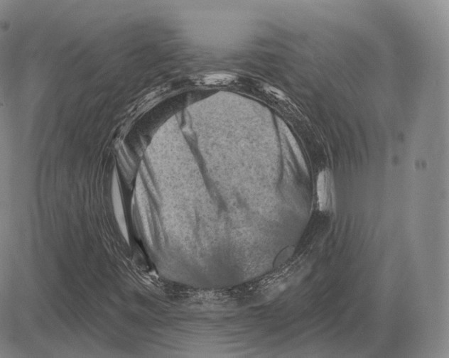 X0000083651443200703051714