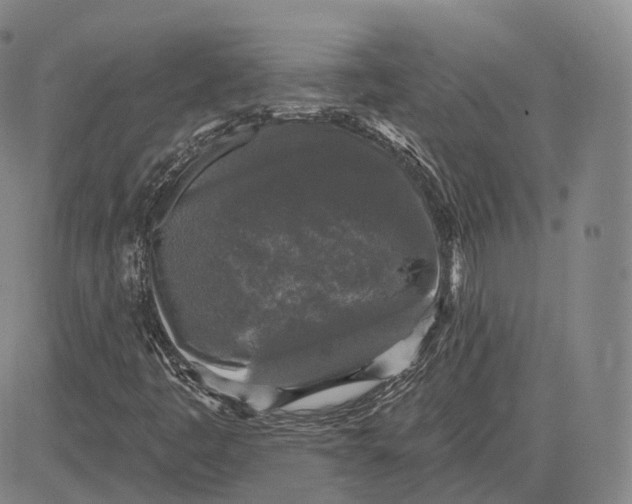 X0000083651445200703051714