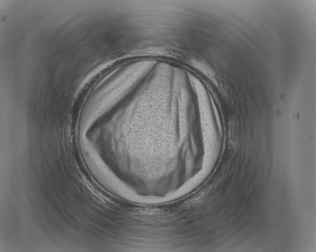 X0000083651452200703051714
