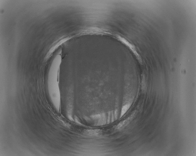 X0000083651453200703051714