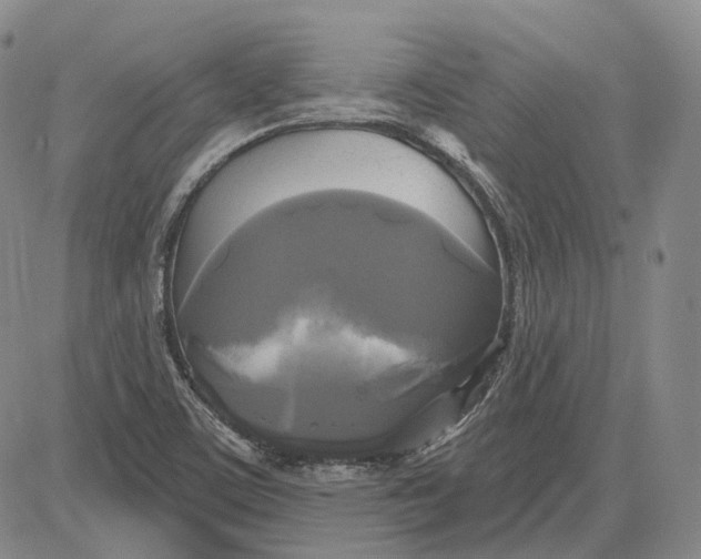 X0000083651459200703051714