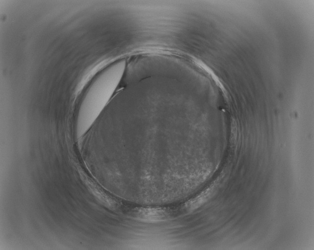 X0000083651461200703051714