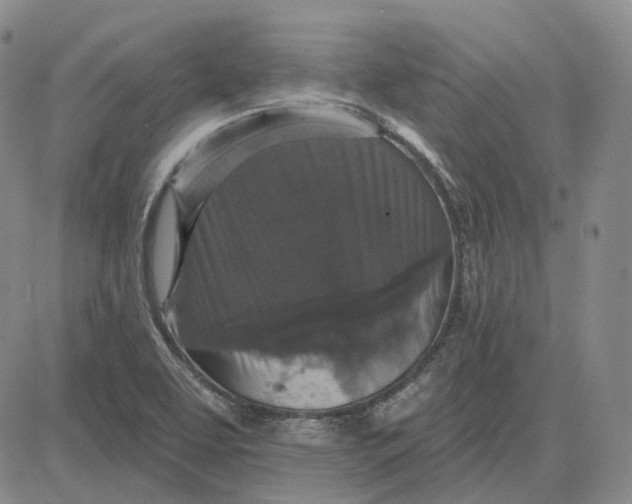 X0000083651463200703051714
