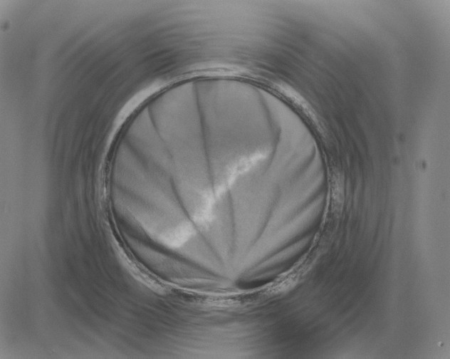 X0000083651466200703051714