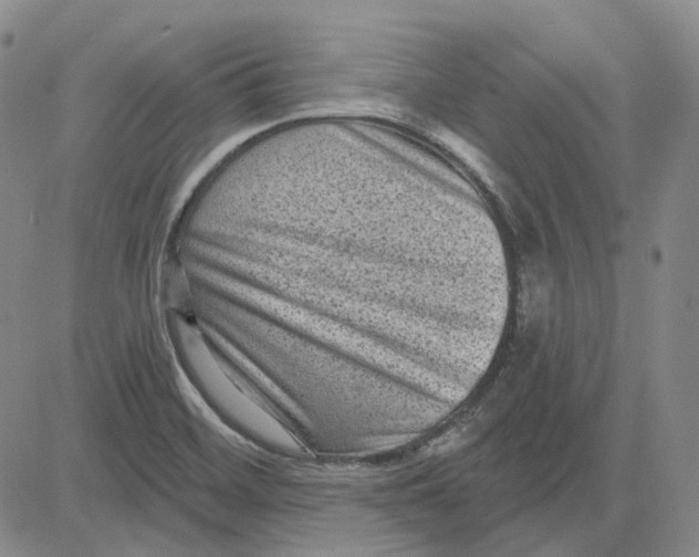 X0000083651468200703051714