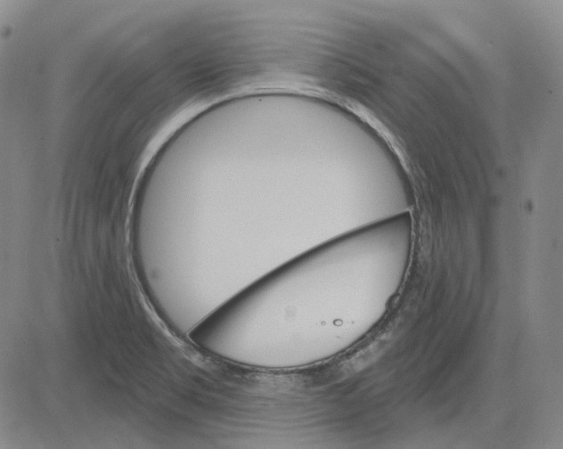 X0000083651469200703051714