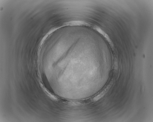 X0000083651473200703051714
