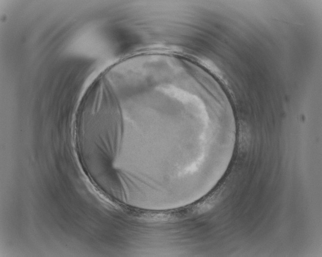 X0000083651474200703051713