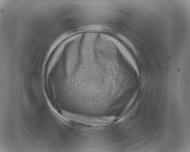 X0000083651475200703051713
