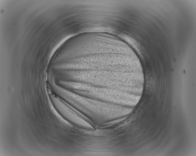 X0000083651476200703051713