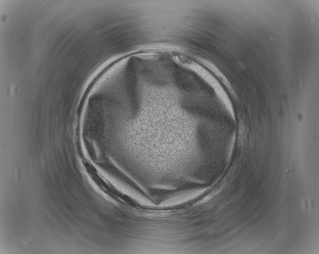 X0000083651484200703051713