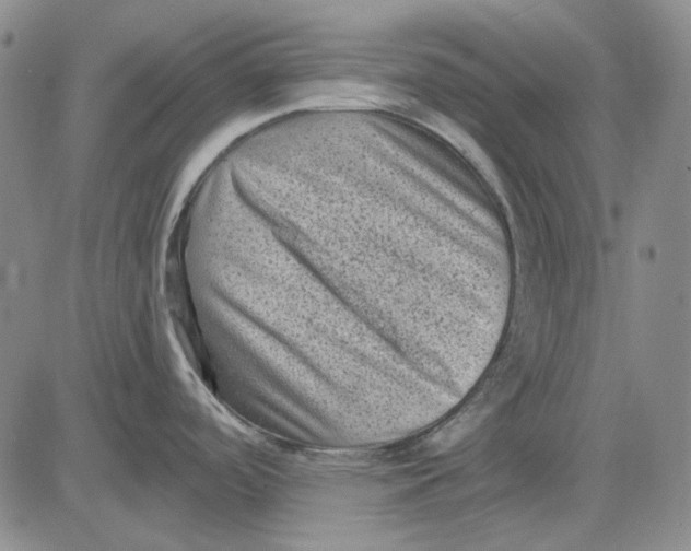 X0000083651488200703051713