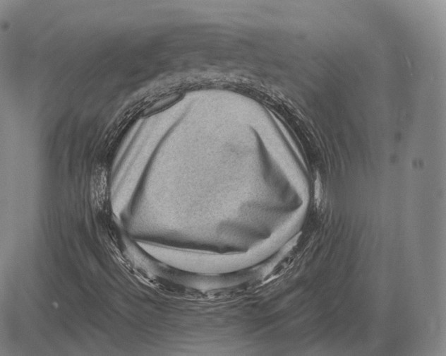 X0000083651492200703051713