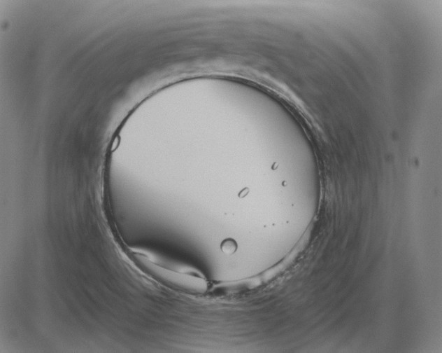 X0000083651512200703051713
