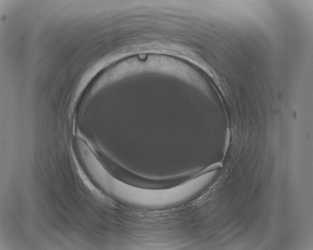 X0000083651515200703051713