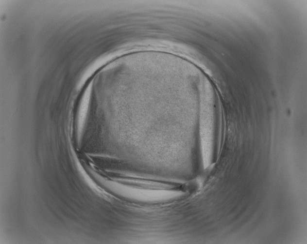 X0000083651523200703051713