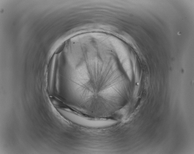 X0000083651524200703051713