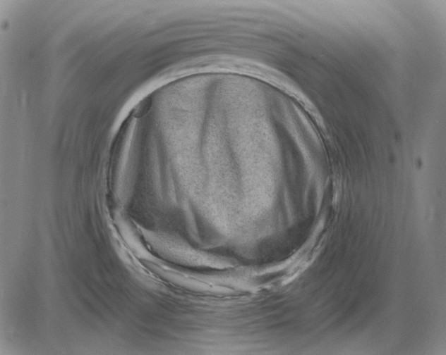 X0000083651530200703051713
