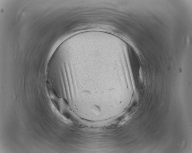X0000083651532200703051713