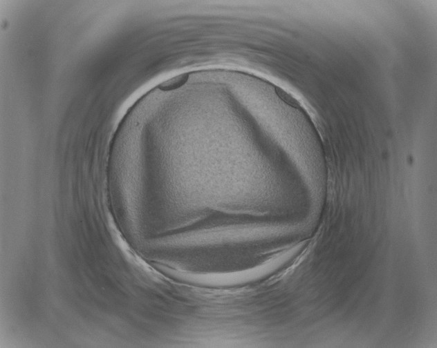 X0000083651534200703051713