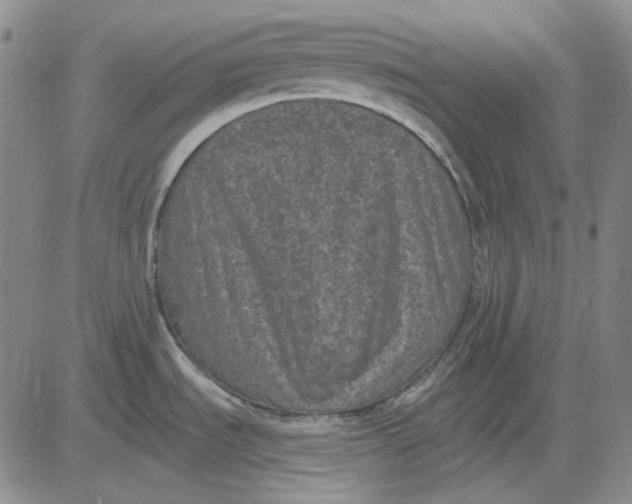 X0000083651535200703051713