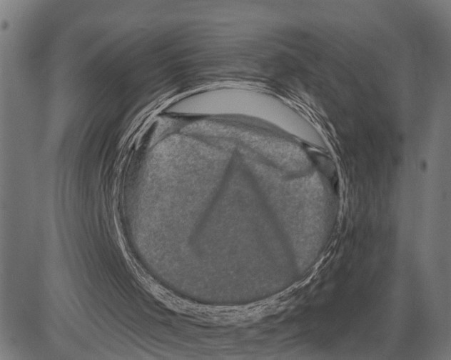 X0000083650001200703121757