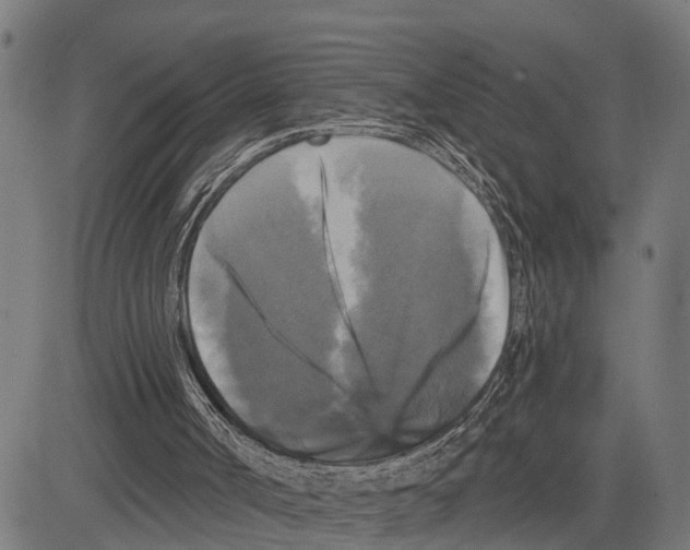 X0000083650002200703121757