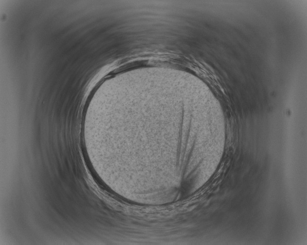 X0000083650003200703121757