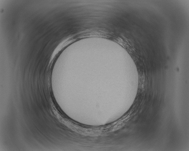 X0000083650004200703121757