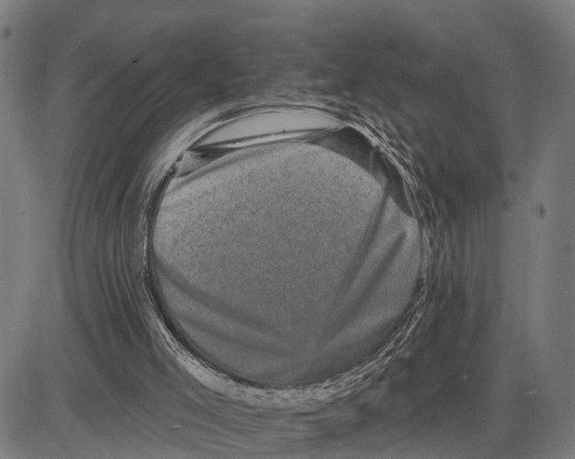 X0000083650005200703121757