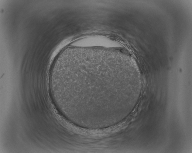 X0000083650006200703121757