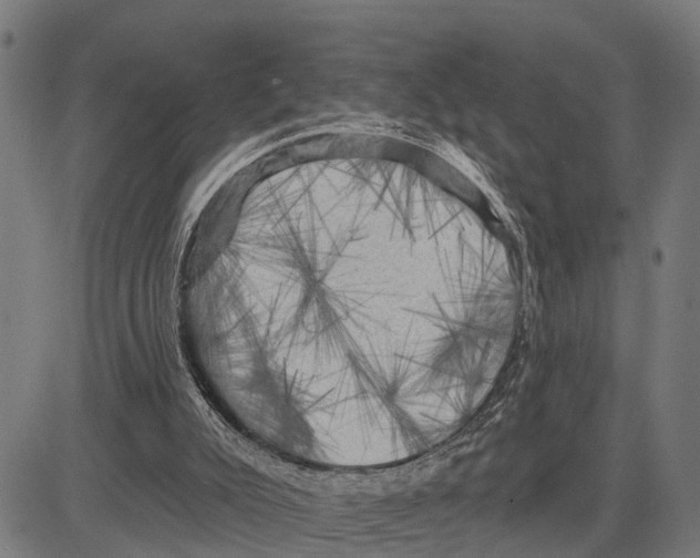 X0000083650007200703121757