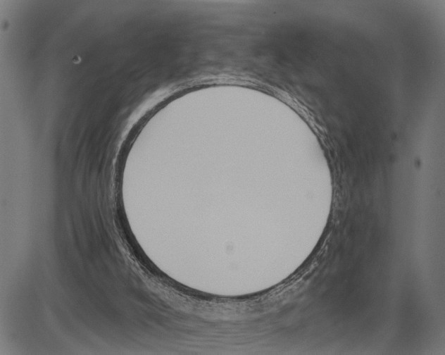 X0000083650008200703121757