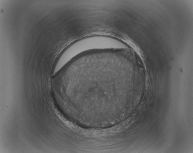 X0000083650009200703121757