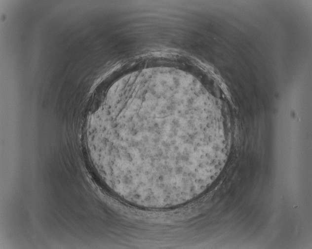 X0000083650010200703121757