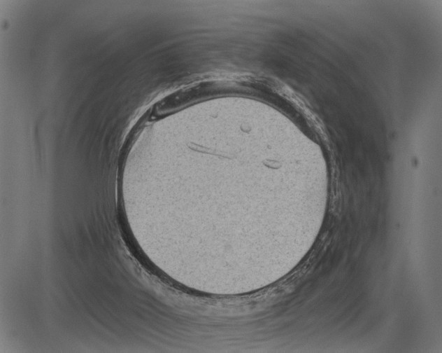 X0000083650011200703121757