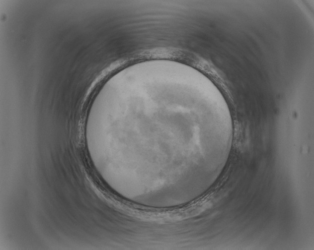 X0000083650012200703121757