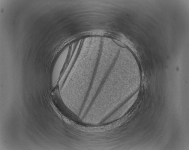 X0000083650013200703121757