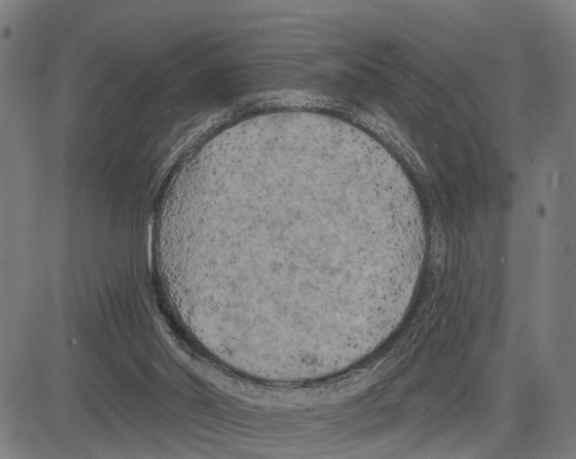 X0000083650014200703121757