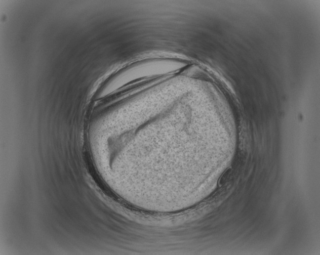 X0000083650015200703121757