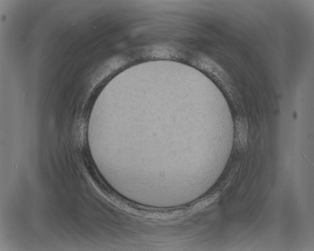 X0000083650016200703121757