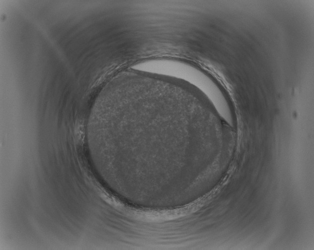 X0000083650017200703121757