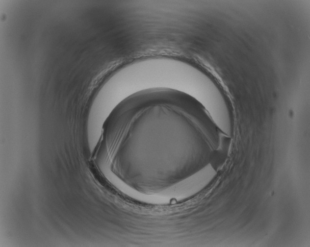 X0000083650019200703121757