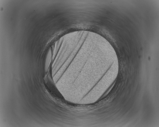 X0000083650020200703121757