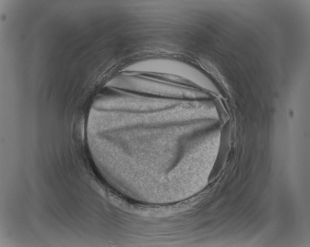 X0000083650021200703121757