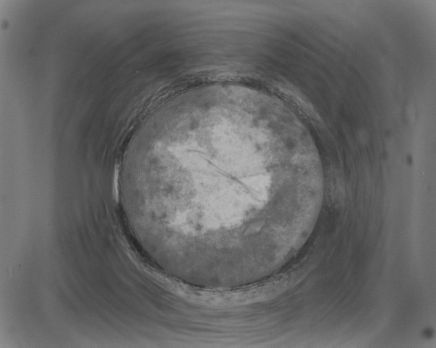 X0000083650022200703121757