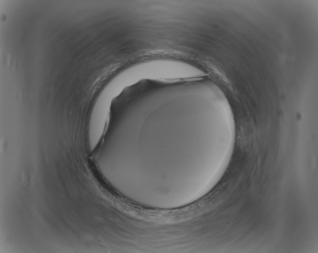 X0000083650023200703121757