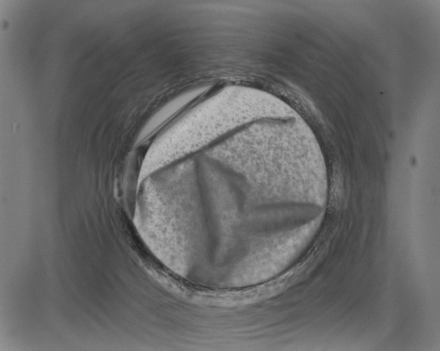 X0000083650025200703121757